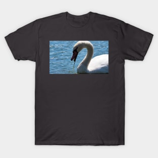 Mute Swan Up-close Eating In The Water T-Shirt